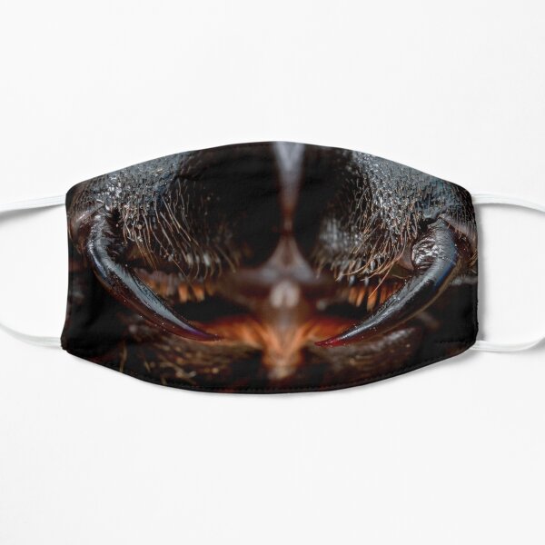 Masque de tête d'insecte: souris araignée (Missulena bradleyi) Masque sans plis