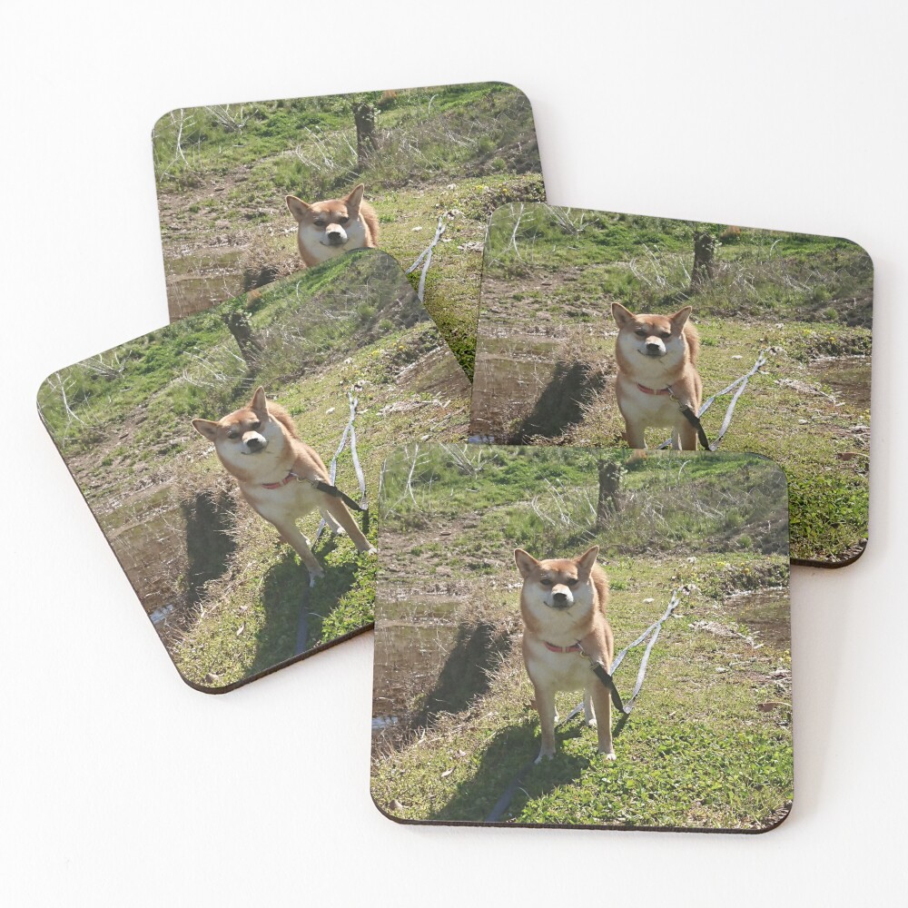 Item preview, Coasters (Set of 4) designed and sold by supernut.