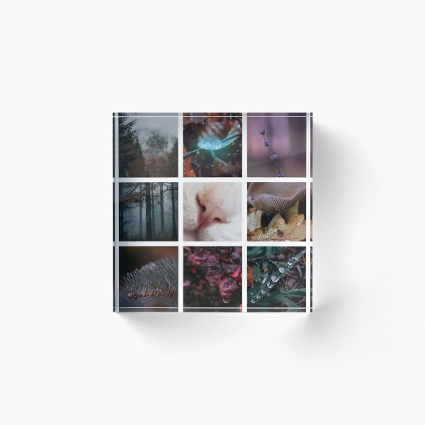 Best Nine of 2020 Didssph Acrylic Block