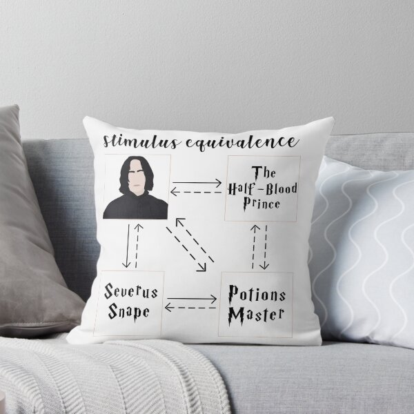 Item preview, Stimulus equivalence SS hp designed and sold by bcbayay designs.