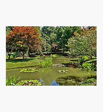 I'll Meet You in the Garden Photographic Print