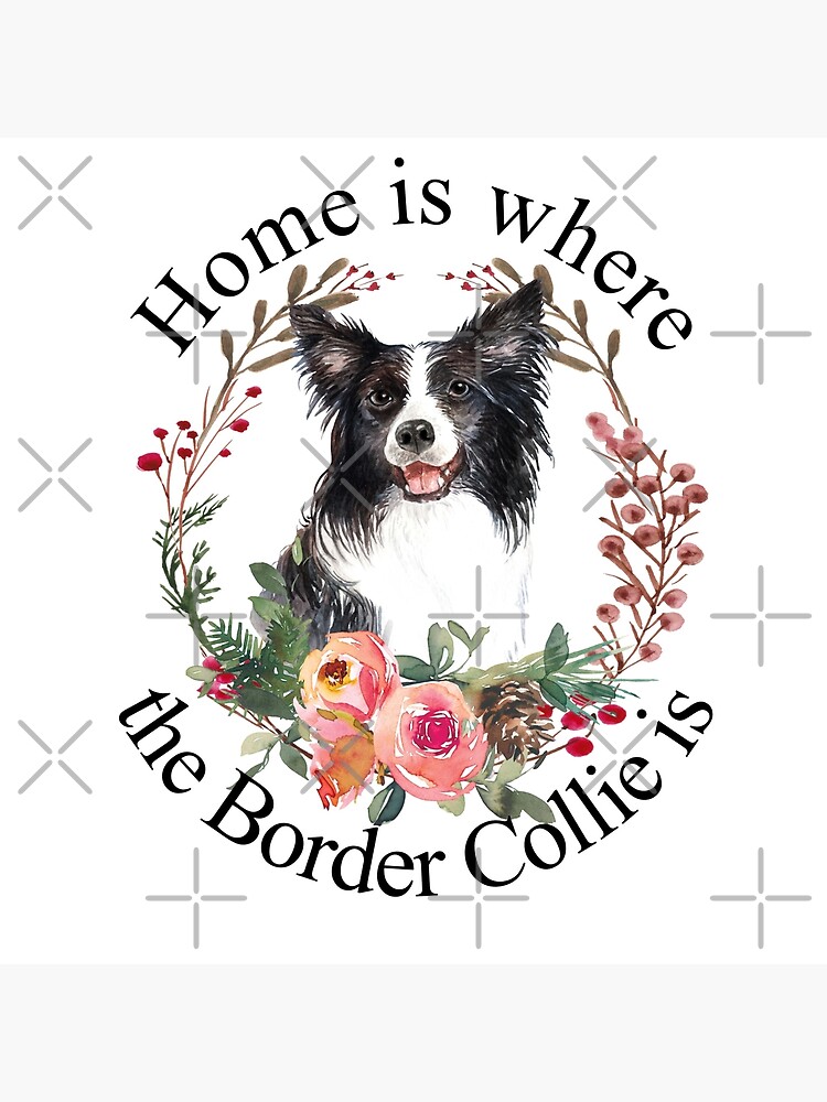 Water Bottle - Border Collie