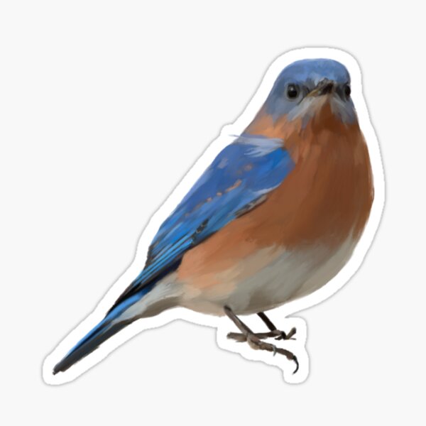 Item preview, Eastern Bluebird Bird Art designed and sold by Jennifer Ackerman.