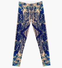Labradorite Minera Leggings