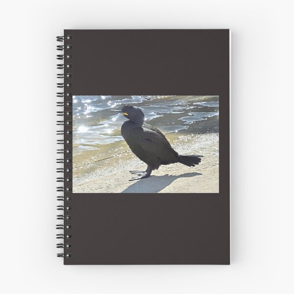 Item preview, Cormorant/Shag at Padstow Cornwall UK designed and sold by lynn carter.