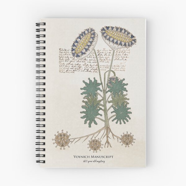 Item preview, Sunflower: Voynich Manuscript 15th or 16th century mystery designed and sold by ebrawne.
