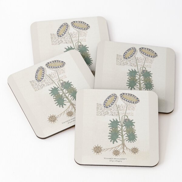 Item preview, Sunflower: Voynich Manuscript 15th or 16th century mystery designed and sold by ebrawne.