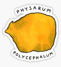 Slime Mold (Physarum polycephalum) Sticker