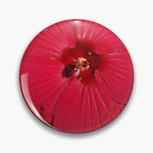 Artikelvorschau, Hibiskus 'Fireball' - königlicher roter Stern meines Spätsommergartens entworfen und verkauft von rvjames.