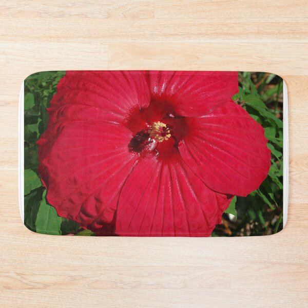 Item preview, Hibiscus 'Fireball' - regal red star of my late summer garden designed and sold by rvjames.