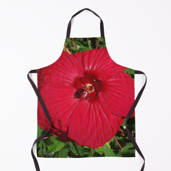 Item preview, Hibiscus 'Fireball' - regal red star of my late summer garden designed and sold by rvjames.