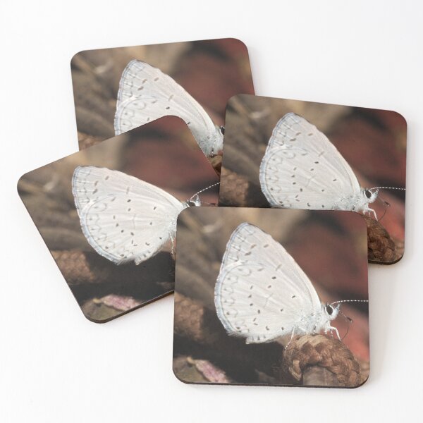 Item preview, 532 Echo Azure Butterfly designed and sold by ptosis.