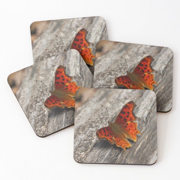 Item preview, 533 Satyr Comma Butterfly designed and sold by ptosis.