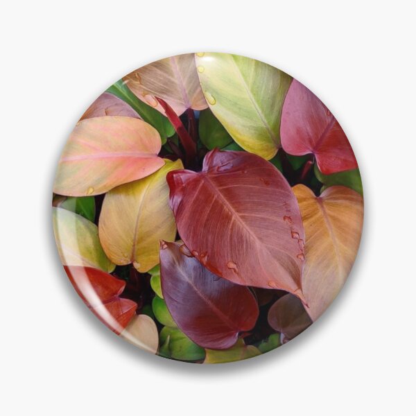 Item preview, Burst of Philodendron Prince of Orange designed and sold by TheLush.