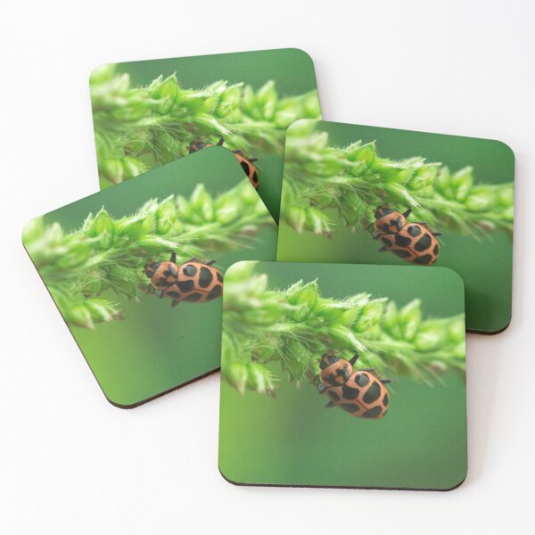 Item preview, 537 Spotted Lady Beetle designed and sold by ptosis.