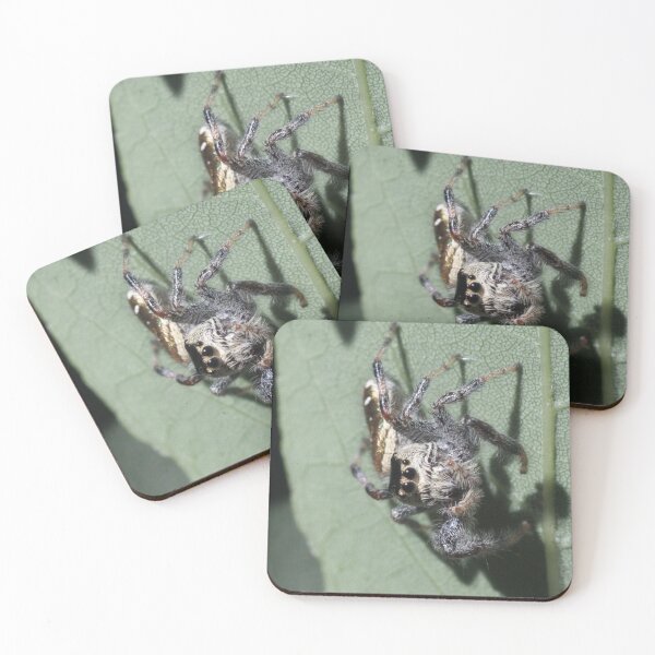 Item preview, 538 Golden Jumping Spider On Leaf designed and sold by ptosis.
