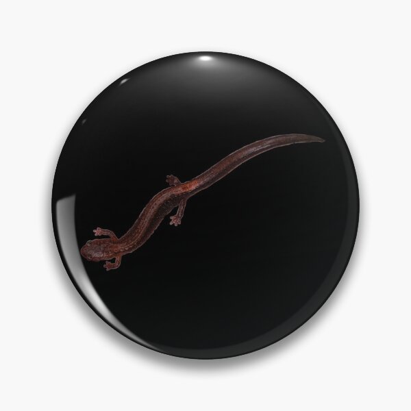 Item preview, red back salamander designed and sold by laceyyyann34.