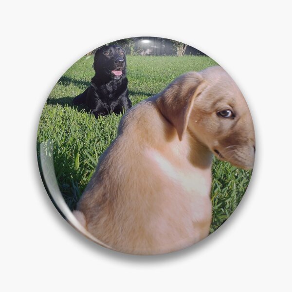 Item preview, Labradors on Grass designed and sold by JWIZZY.