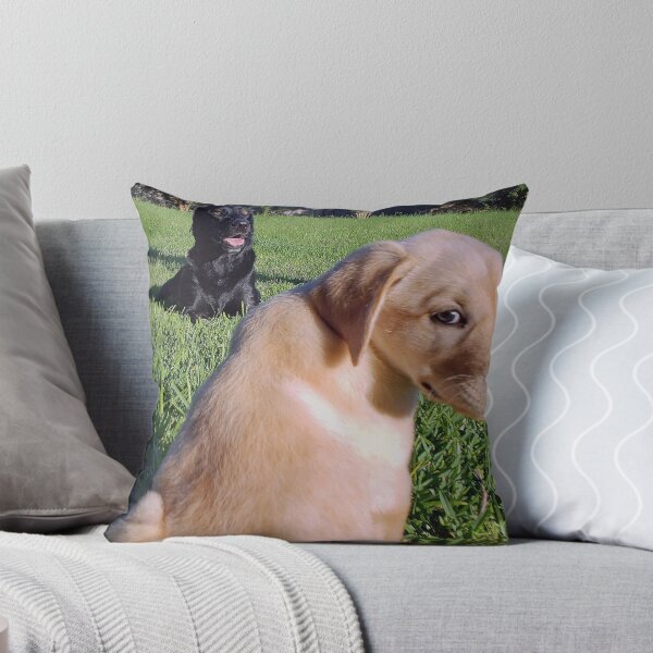 Item preview, Labradors on Grass designed and sold by JWIZZY.