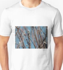 Pussy willow branches Unisex T-Shirt
