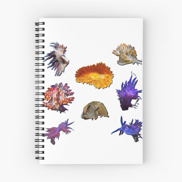 Item preview, Kawaii SeaBunny (Nudibranch) 6 Pack  designed and sold by miTeless seDign.