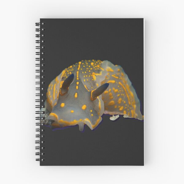 Item preview, Kawaii SeaBunny (Nudibranch) - orange designed and sold by miTeless seDign.