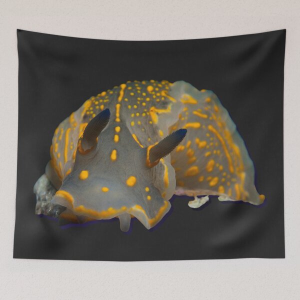 Item preview, Kawaii SeaBunny (Nudibranch) - orange designed and sold by miTeless seDign.