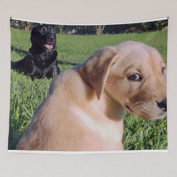 Item preview, Labradors on Grass designed and sold by JWIZZY.