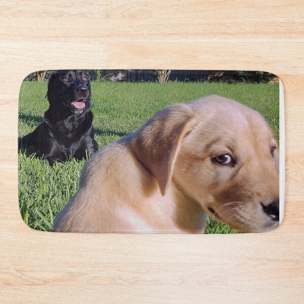Item preview, Labradors on Grass designed and sold by JWIZZY.