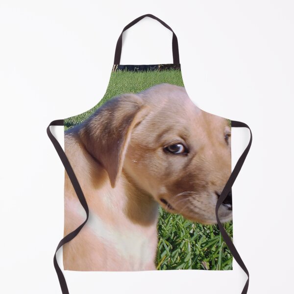 Item preview, Labradors on Grass designed and sold by JWIZZY.