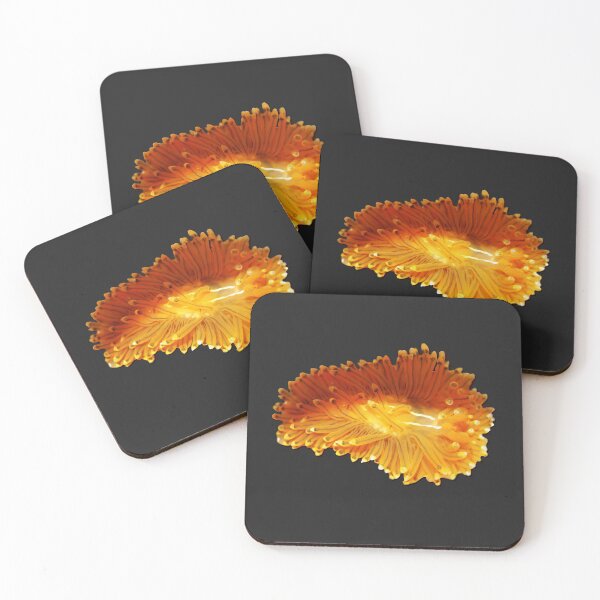 Item preview, Kawaii SeaBunny (Nudibranch) - Sunrise designed and sold by miTeless seDign.