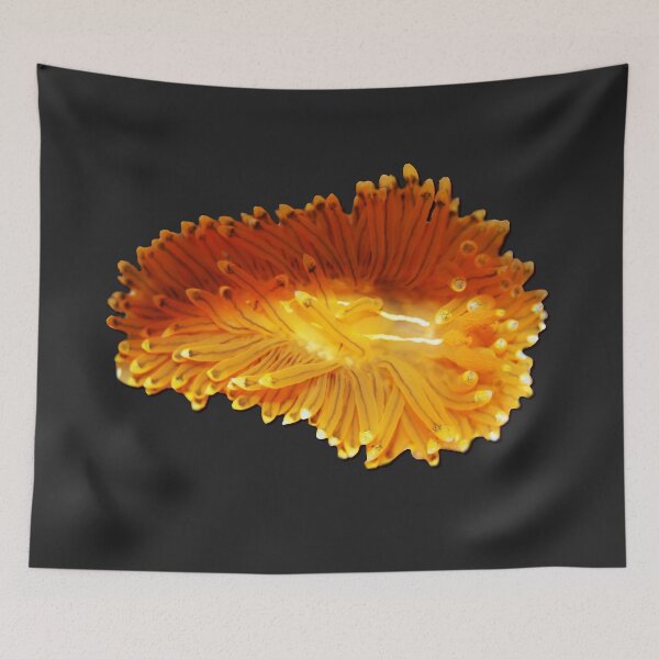 Item preview, Kawaii SeaBunny (Nudibranch) - Sunrise designed and sold by miTeless seDign.
