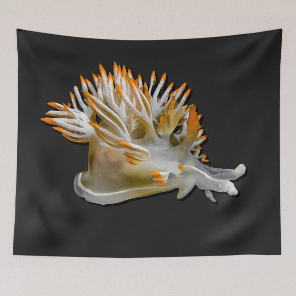 Item preview, Kawaii SeaBunny (Nudibranch) - Creamsicle designed and sold by miTeless seDign.