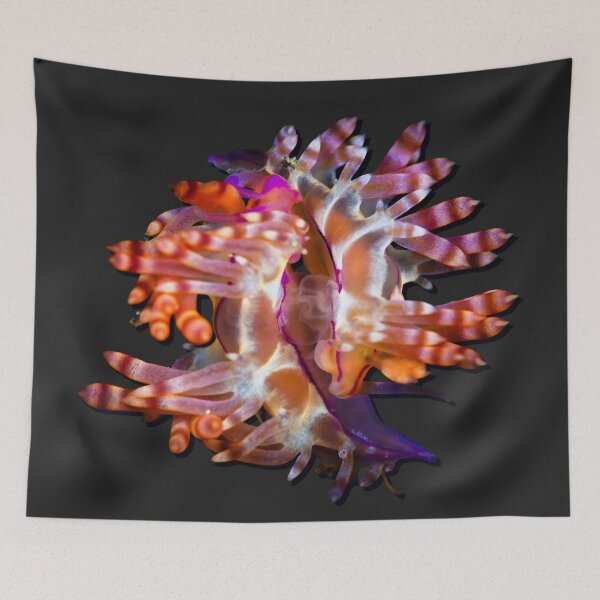 Item preview, Kawaii SeaBunny (Nudibranch) - Banded Queen designed and sold by miTeless seDign.