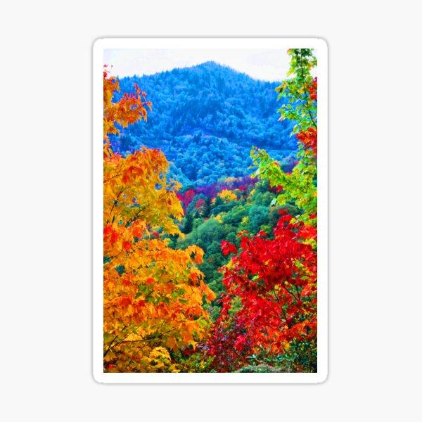 Item preview, MAPLE TREES,BLUE RIDGE PARKWAY designed and sold by Chuck Wickham.