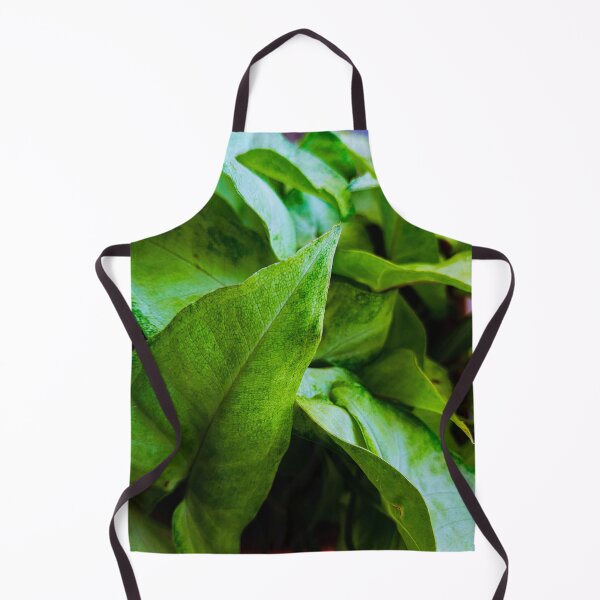 Item preview, Planta de interior Syngonium podophyllum designed and sold by VisionaryStudio.
