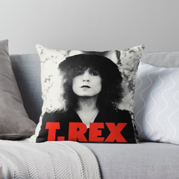 Slider Throw Pillow