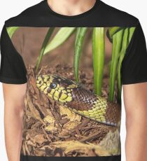A Visit From the King Graphic T-Shirt