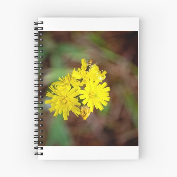 Item preview, Flower Bee designed and sold by gabrielle.j.ryan  photography.