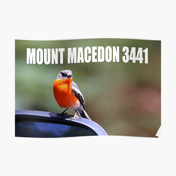 Mount Macedon 3441 Poster