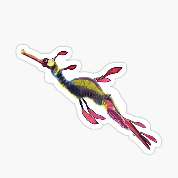 Weedy sea dragon Sticker