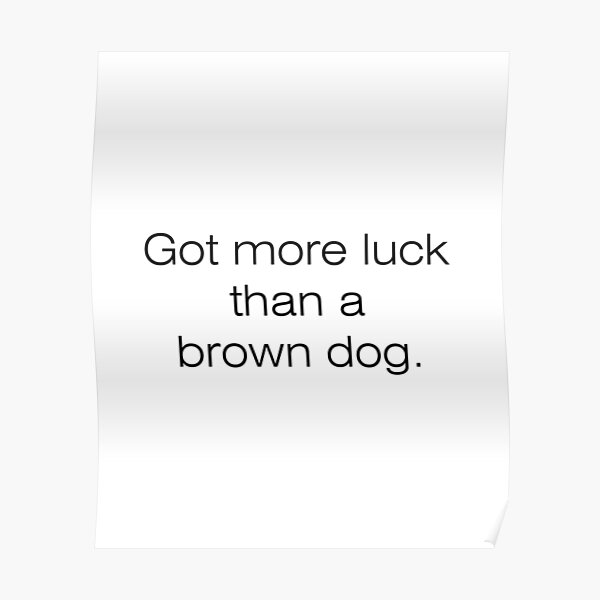 "Brown Dog Aussie Slang" Poster by kepples Redbubble