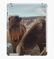 Islandpferde, Grundarfjordur, Snaefellsnes, Island iPad-Hülle & Klebefolie
