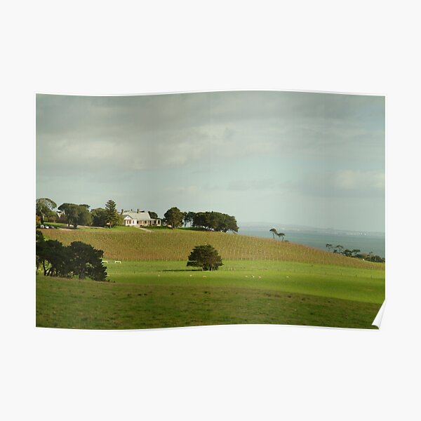Joe Mortelliti Gallery - Spray Farm, Bellarine Peninsula, Victoria, Australia. Poster