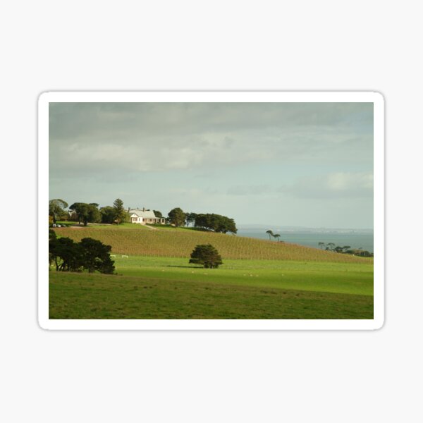 Joe Mortelliti Gallery - Spray Farm, Bellarine Peninsula, Victoria, Australia. Sticker
