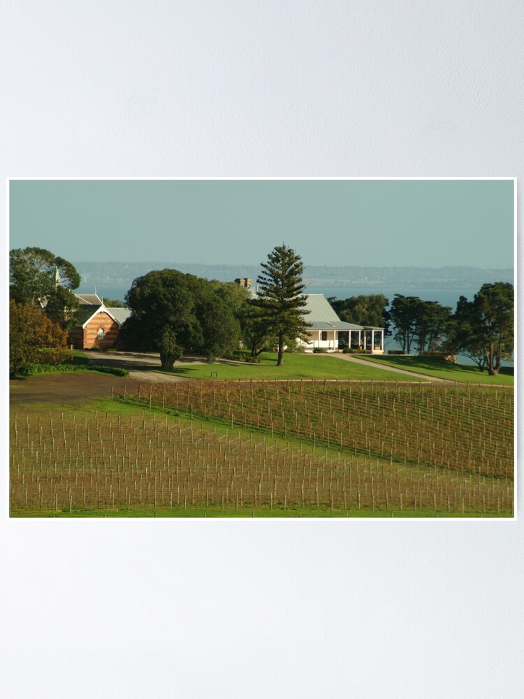 "Joe Mortelliti Gallery Spray Farm homestead, Bellarine Peninsula
