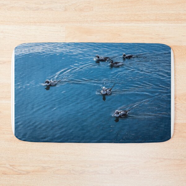 Item preview, Deep Blue Pursuit - Long Tailed Ducks on Silky Water designed and sold by Georgia Mizuleva.