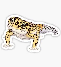 Leopard Gecko Sticker