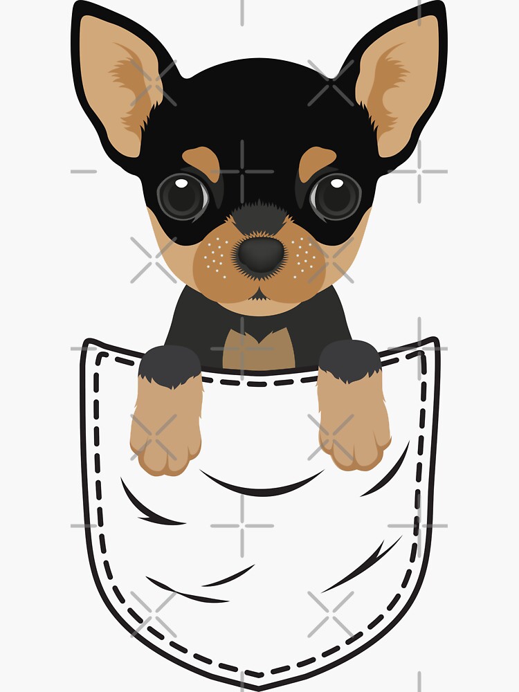 Puppy in a Prada purse.  Chihuahua, Chihuahua dogs, Chihuahua puppies