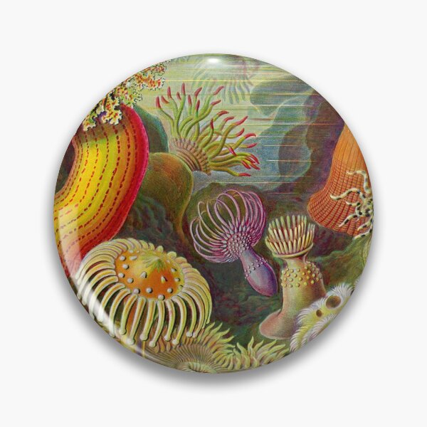 Item preview, Sea anemone - Ernst Haeckel  designed and sold by billythekidtees.
